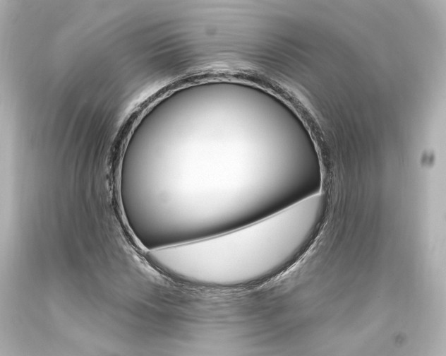 X0000094361018200711021331