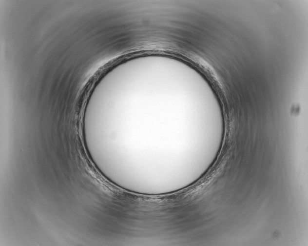 X0000094361019200711021331