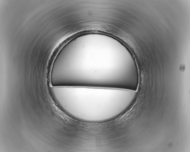 X0000094361020200711021331