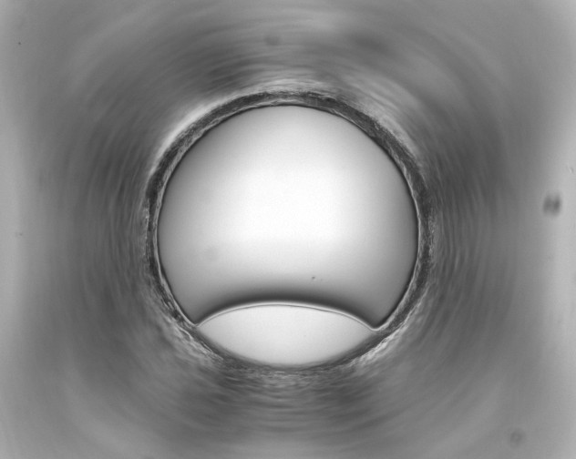 X0000094361021200711021331