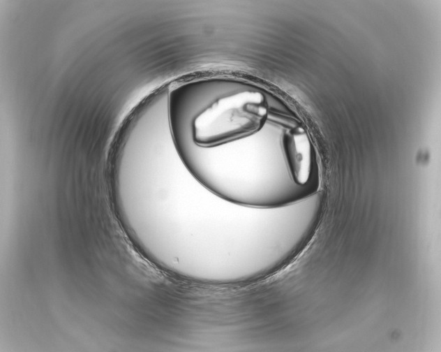 X0000094361022200711021331