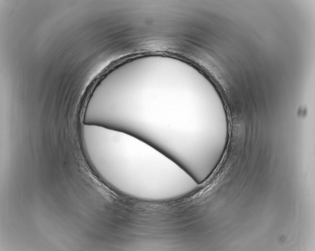 X0000094361023200711021331