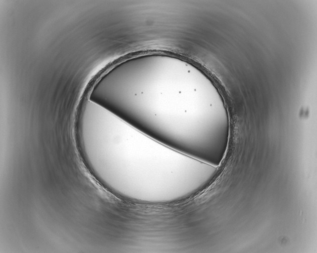 X0000094361024200711021331