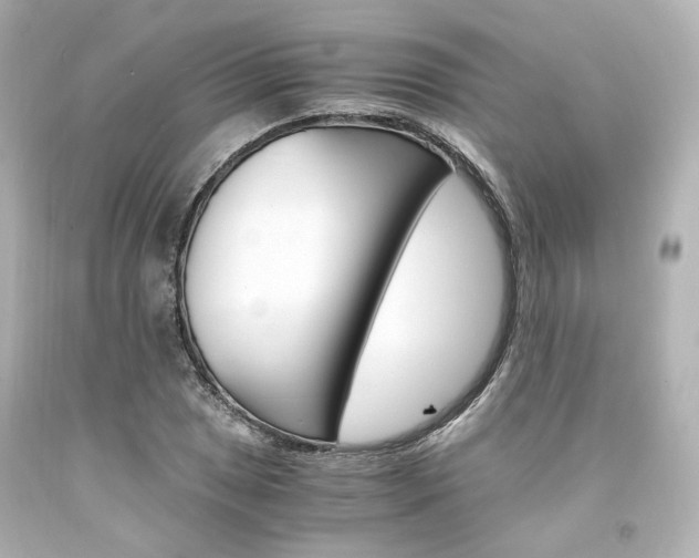 X0000094361025200711021331