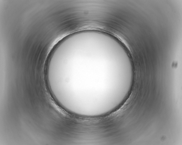 X0000094361026200711021331