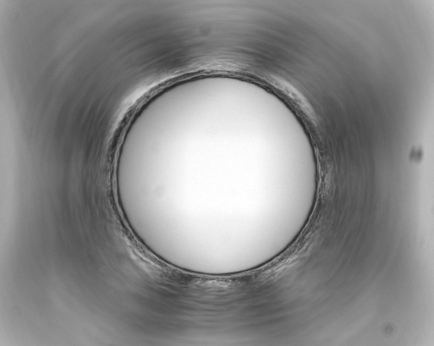 X0000094361027200711021331