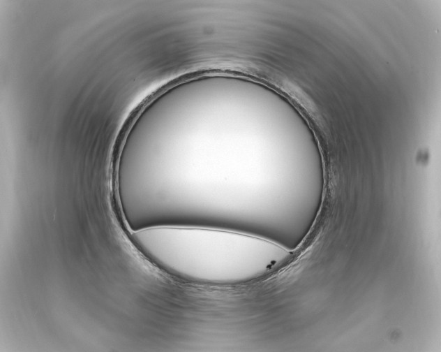X0000094361028200711021331