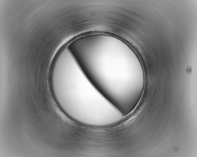 X0000094361029200711021331