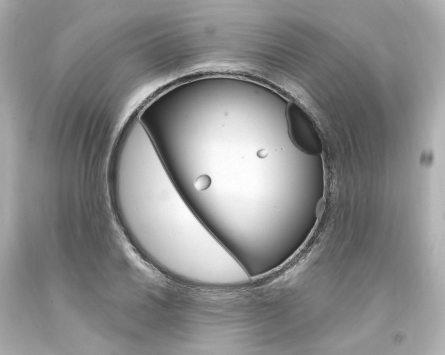 X0000094361030200711021331