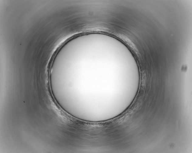 X0000094361031200711021331