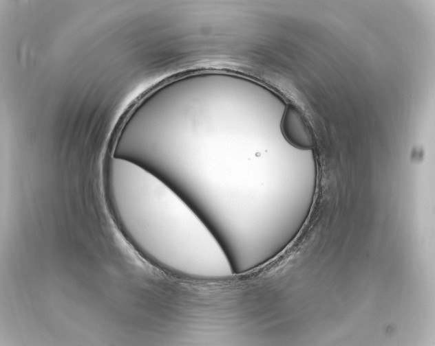 X0000094361032200711021331