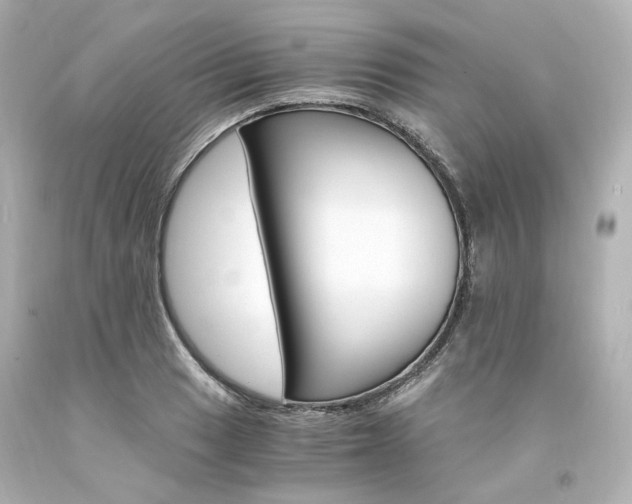 X0000094361033200711021331