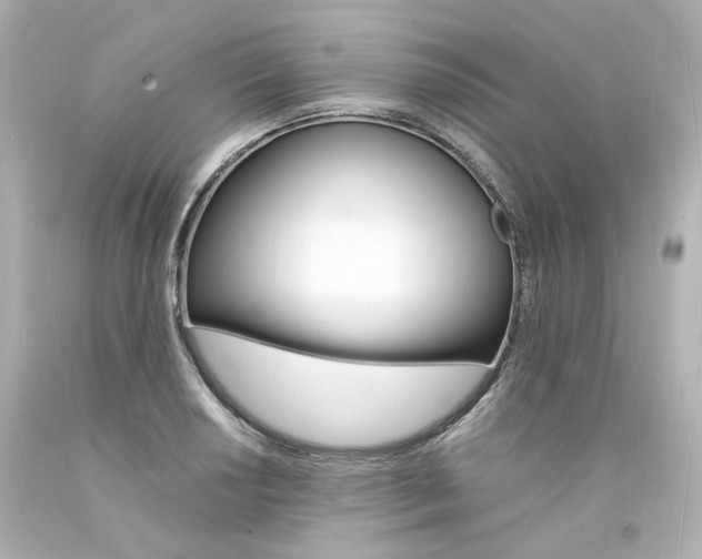 X0000094361034200711021331