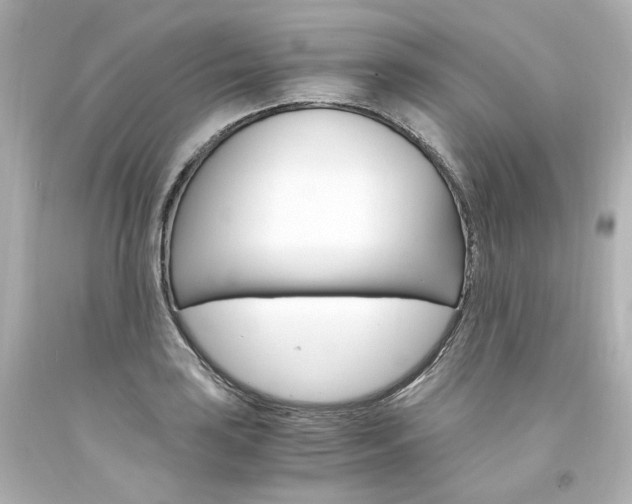 X0000094361035200711021331