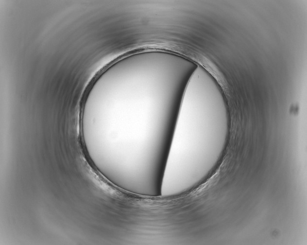 X0000094361036200711021331