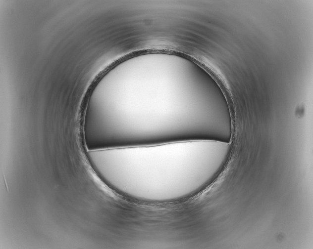 X0000094361037200711021331
