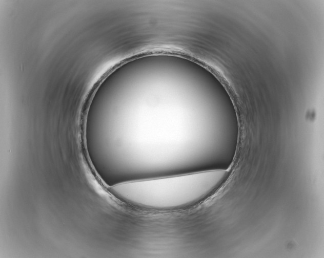 X0000094361038200711021331