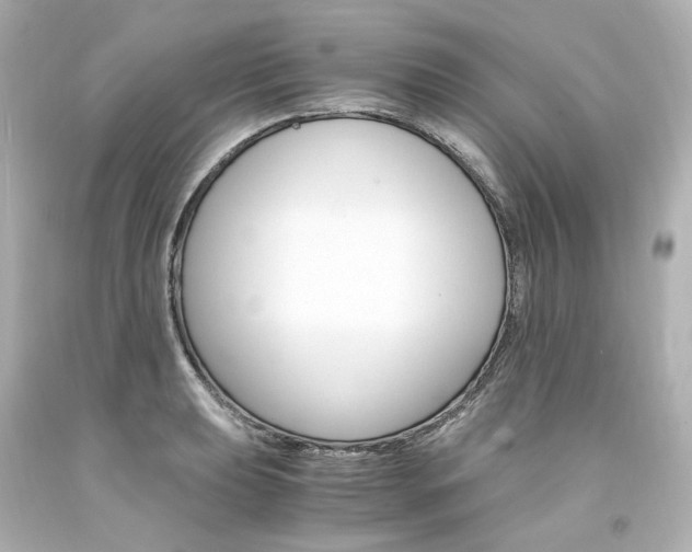 X0000094361039200711021331