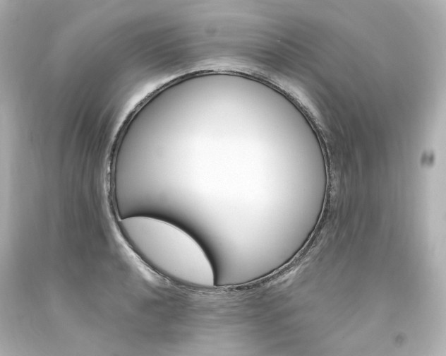 X0000094361040200711021331