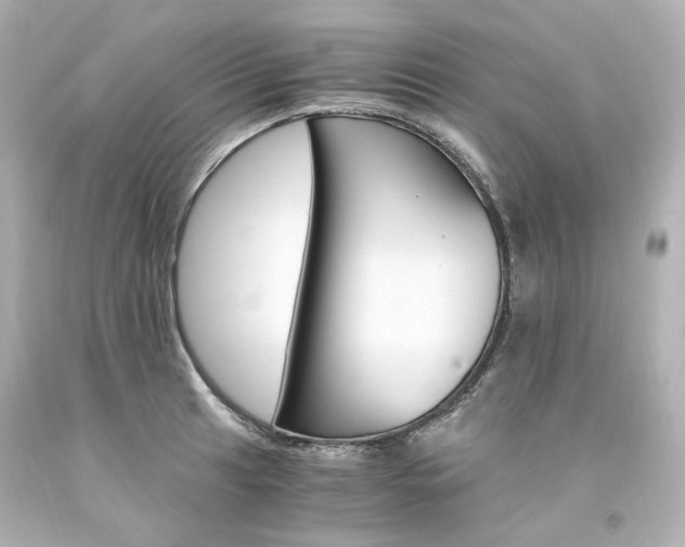 X0000094361041200711021331