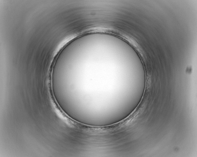 X0000094361042200711021331