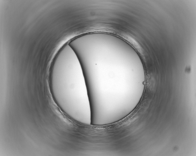 X0000094361043200711021331