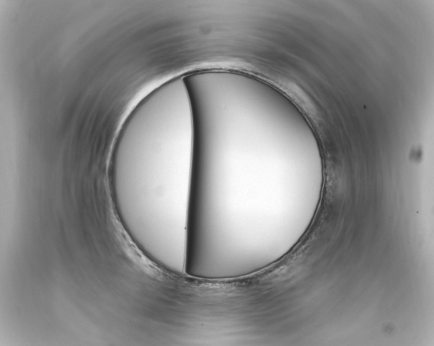 X0000094361044200711021331