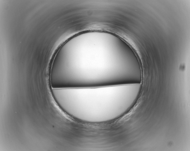 X0000094361045200711021331