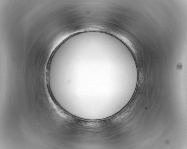 X0000094361047200711021331