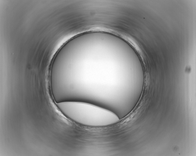 X0000094361048200711021331