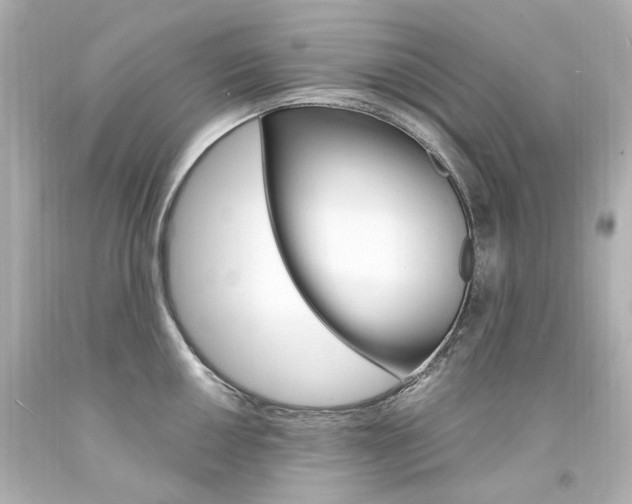 X0000094361050200711021331