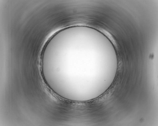 X0000094361051200711021331