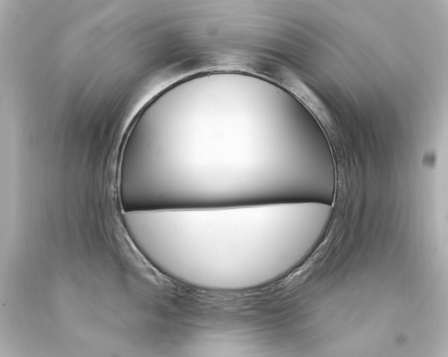 X0000094361052200711021331