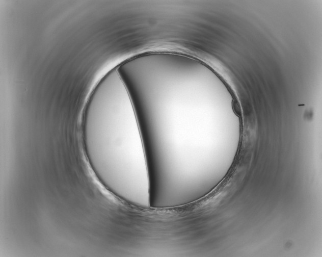 X0000094361053200711021331
