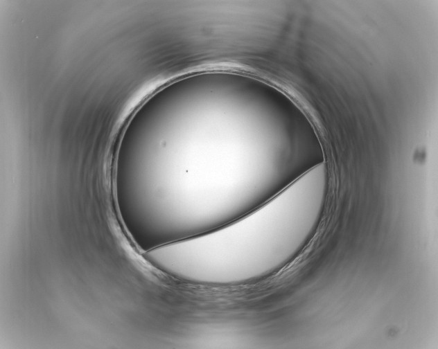 X0000094361054200711021331