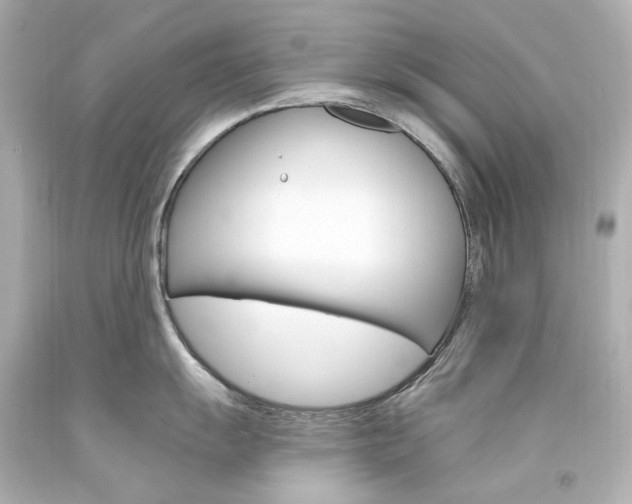 X0000094361055200711021331