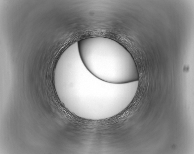 X0000094361057200711021331