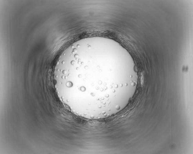 X0000094361059200711021331