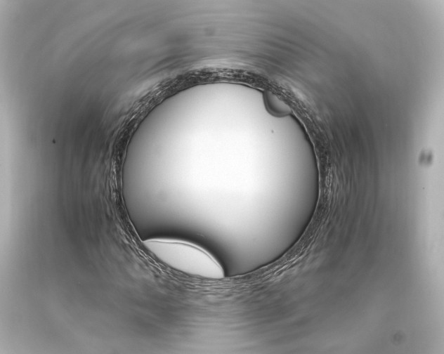X0000094361062200711021331