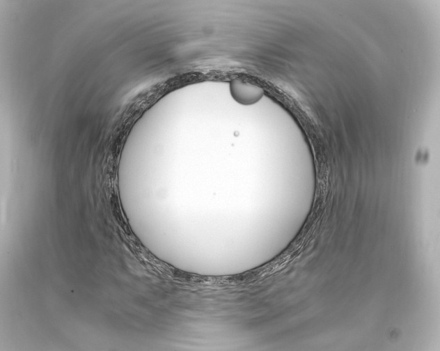 X0000094361063200711021331