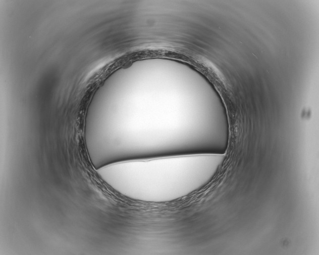 X0000094361064200711021331