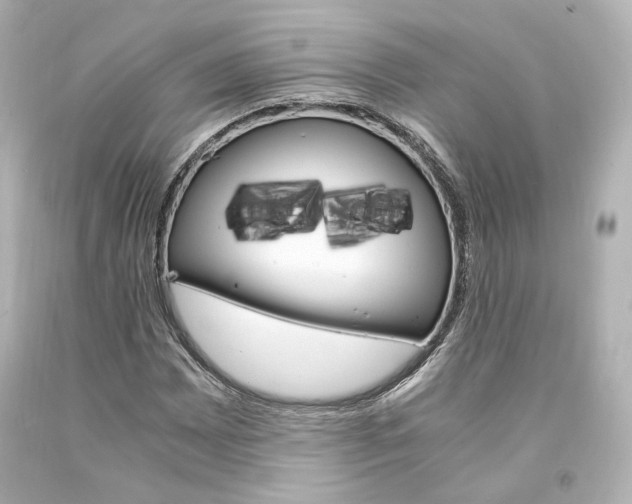 X0000094361065200711021331