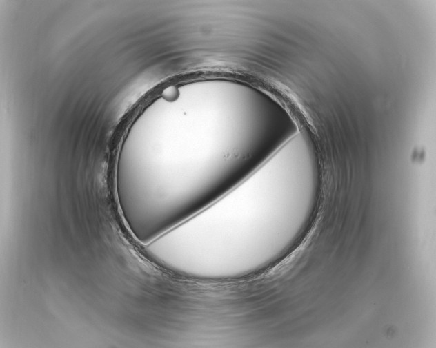X0000094361066200711021331