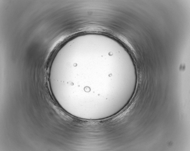 X0000094361067200711021331