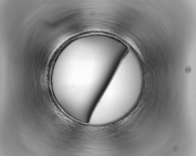 X0000094361068200711021331
