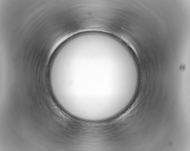 X0000094361069200711021331