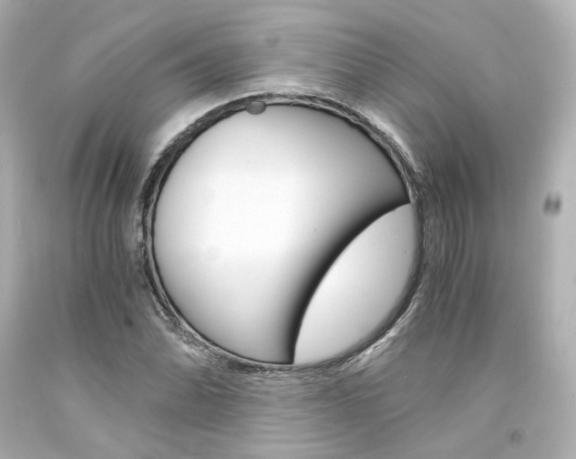 X0000094361070200711021331