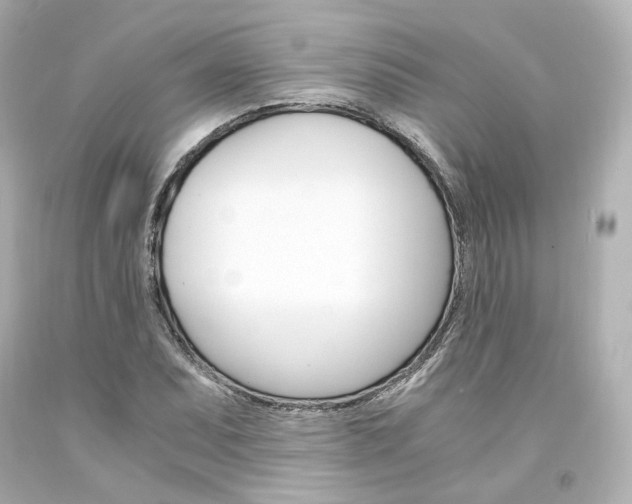 X0000094361071200711021331