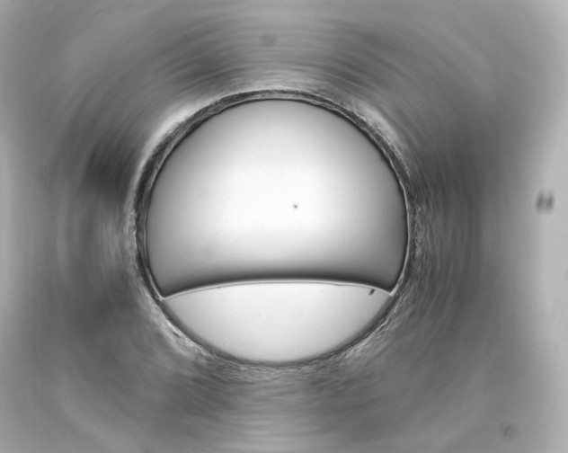 X0000094361072200711021330