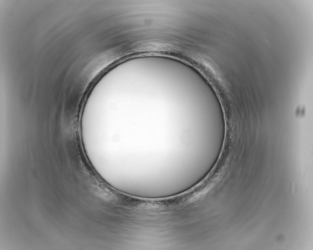 X0000094361073200711021330